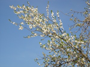 DSCN1830